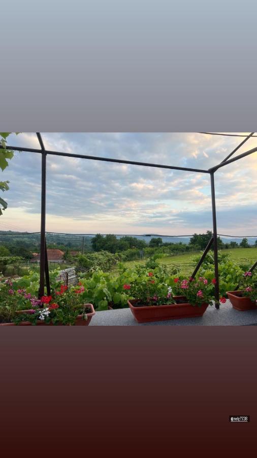 Cazare Nely Novaci-Străini Exteriér fotografie